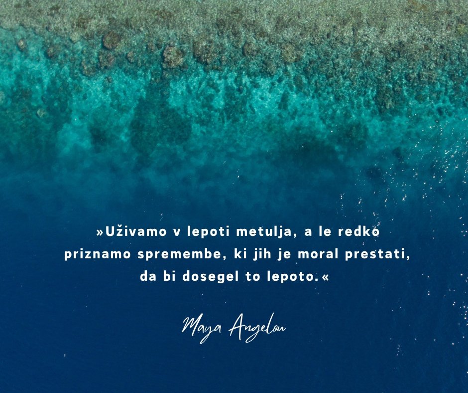 Lepota metulja samo spremembe vodijo do resničnega sijaja 