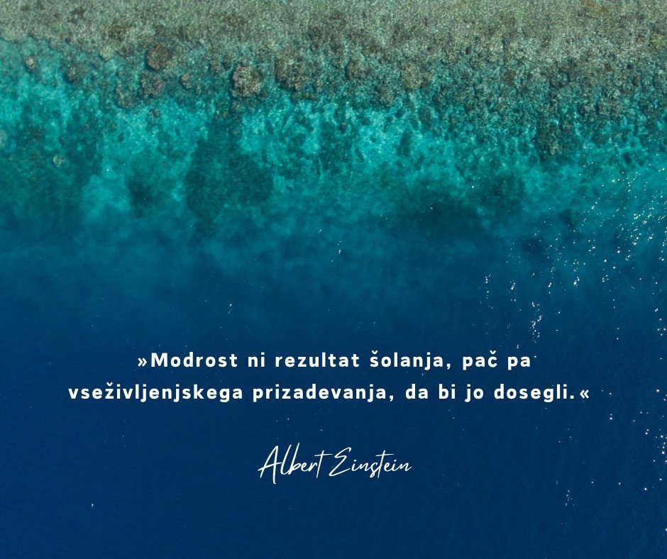 Modrost: sad izkustva, učenja in osebne rasti