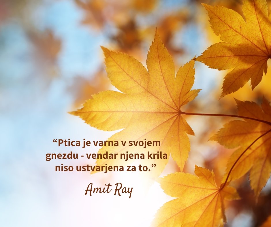 Ptica je varna v svojem gnezdu – vendar njena krila ...