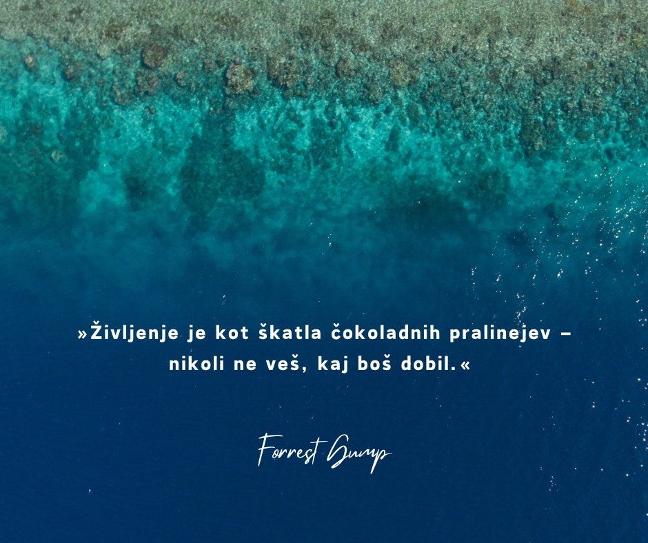 Življenje je kot škatla čokoladnih pralinejev ...